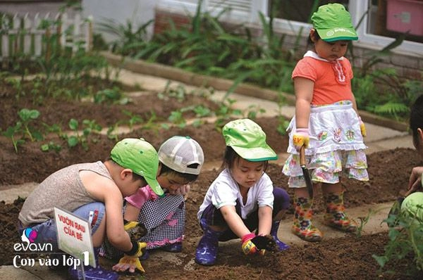 2 câu hỏi đáng ngẫm khiến mẹ việt từ bỏ ý định cho con học trước lớp 1