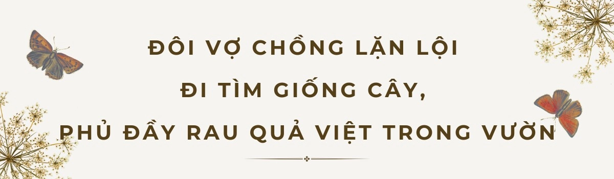 Anh chồng mỹ tặng vợ việt kém 37 tuổi mảnh vườn hơn 6500m2 trồng đầy rau quả thuần qu hơng vợ