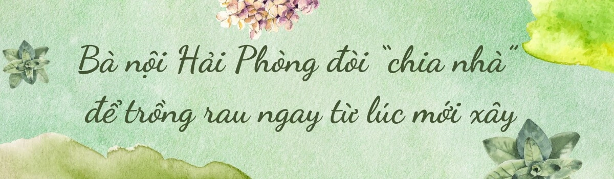 Bà nội hải phòng làm vườn trên sân thượng 60m2 vừa trồng thủy canh vừa trồng đất chia sẻ bí quyết có rau ăn quanh năm