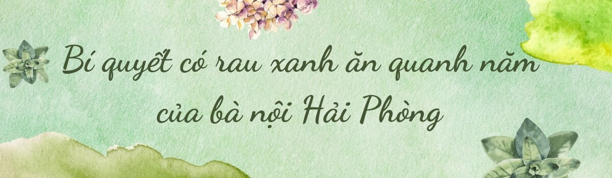 Bà nội hải phòng làm vườn trên sân thượng 60m2 vừa trồng thủy canh vừa trồng đất chia sẻ bí quyết có rau ăn quanh năm