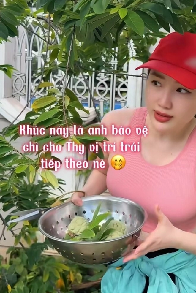 Bảo thy lên tiếng thanh minh khi bị chê không biết phân biệt quả chín trong đoạn clip hái na vườn nhà