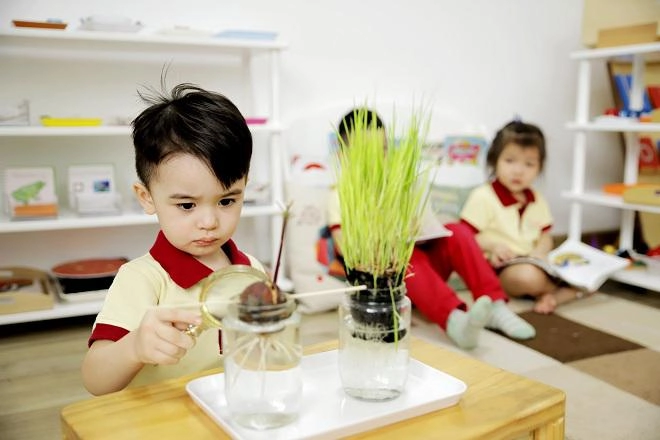 Cách sắp xếp không gian gia đình đơn giản để con học phương pháp montessori hiệu quả nhất