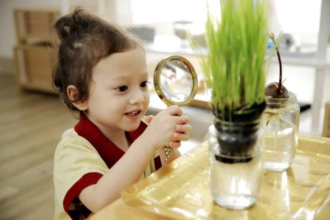 Cách sắp xếp không gian gia đình đơn giản để con học phương pháp montessori hiệu quả nhất