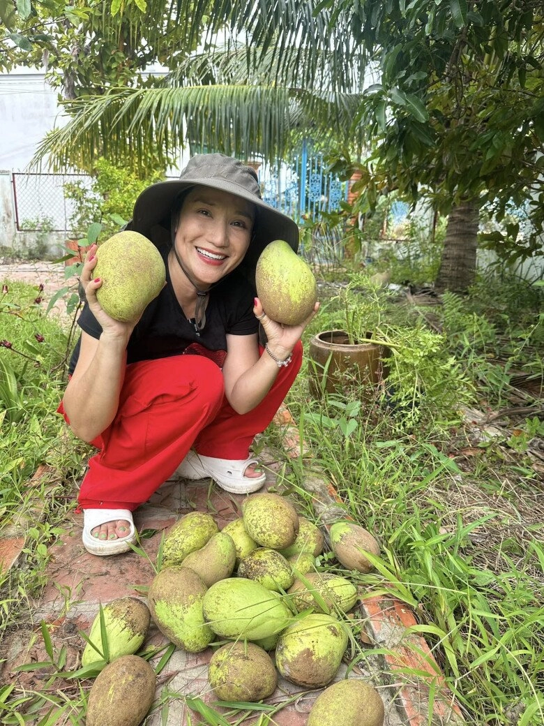 Cát tường cùng bố ruột về nhà vườn thu hoạch nhưng báo quá báo cây kỷ niệm cùng tiết cương nay hoang tàn