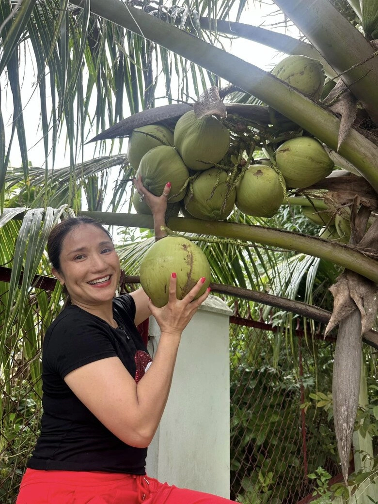 Cát tường cùng bố ruột về nhà vườn thu hoạch nhưng báo quá báo cây kỷ niệm cùng tiết cương nay hoang tàn