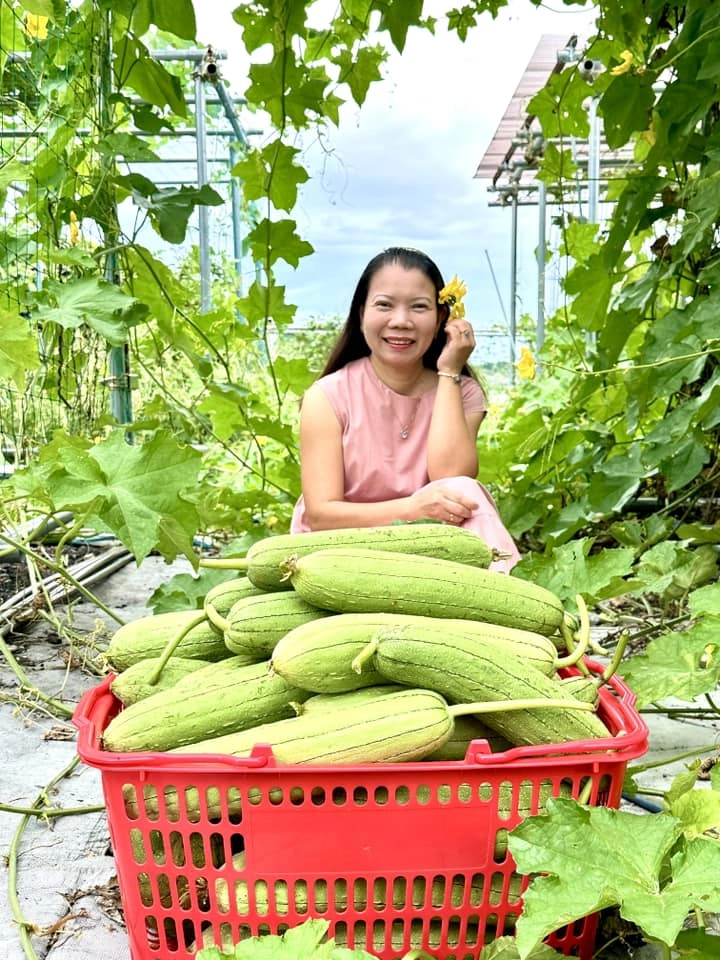 Cô dâu việt được mẹ chồng nhật cho 10000m2 đất àm vườn trồng rau củ xanh tốt quanh năm quả mùa nào cũng có