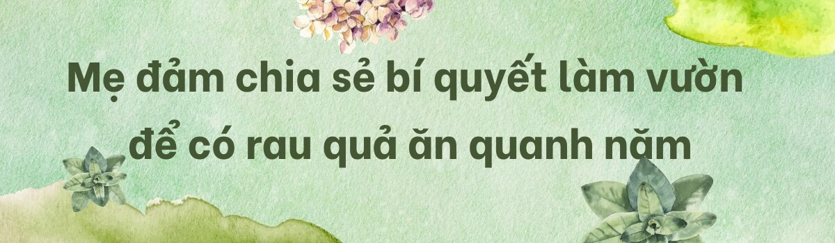 Cô dâu việt được mẹ chồng nhật cho 10000m2 đất àm vườn trồng rau củ xanh tốt quanh năm quả mùa nào cũng có