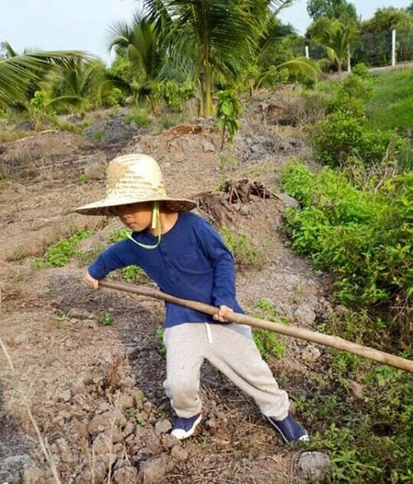 Có nhà chục tỷ 4 công ty lớn lý hải vẫn cho con ăn kem vỉa hè học trường công