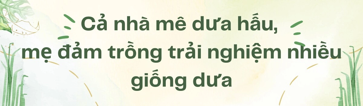 Mẹ đảm sài gòn làm vườn dưa hấu trên sân thượng 50m2 chia sẻ cách trồng cực chi tiết cho quả to đều