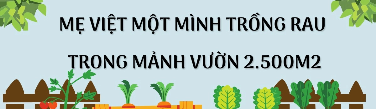 Mẹ việt ở hàn trồng rau trong mảnh vườn 2500m2 chia sẻ bí quyết có rau quả quanh năm nhờ túi bóng đen