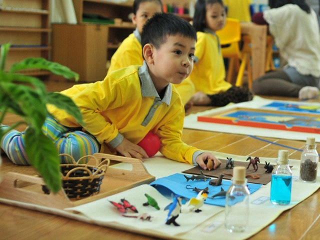 Montessori - phương pháp giáo dục sớm đang được nhiều cha mẹ việt lựa chọn cho con