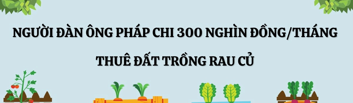 Người đàn ông pháp chi 300 nghìn đồngtháng thuê 120m2 đất trồng khu vườn ngập rau củ việt nhìn giàn quả treo lúc lỉu mà mê