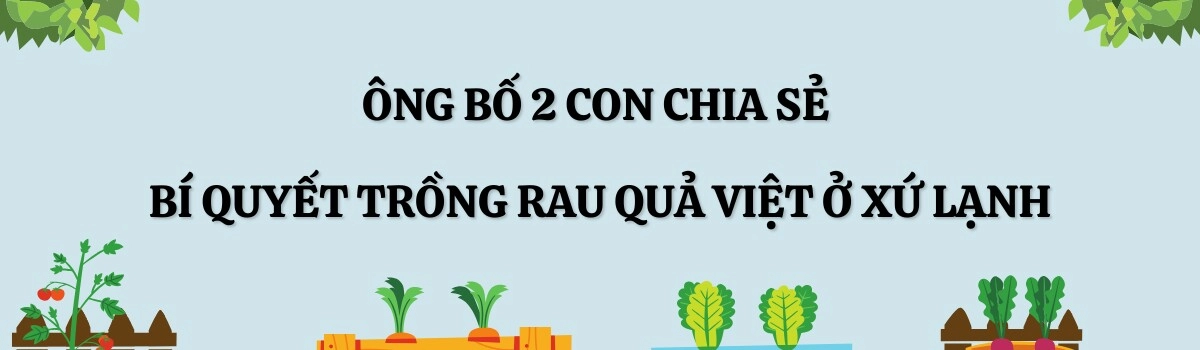 Người đàn ông pháp chi 300 nghìn đồngtháng thuê 120m2 đất trồng khu vườn ngập rau củ việt nhìn giàn quả treo lúc lỉu mà mê