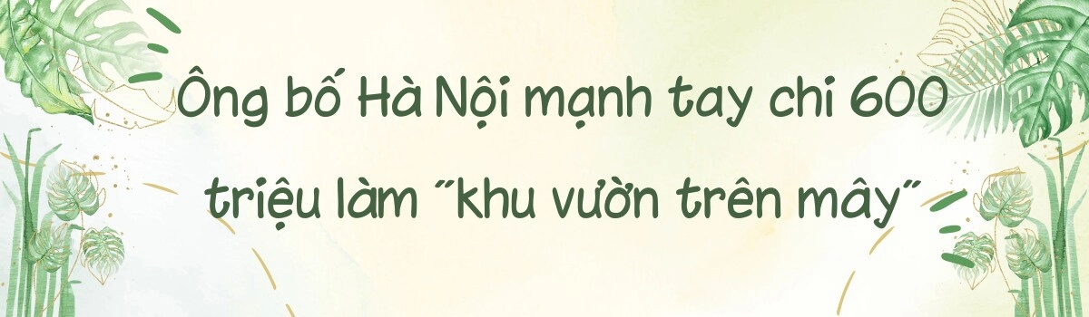 Ông bố hà nội trồng rau nuôi cá trên mái nhà chia sẻ bí quyết để có khu vườn trên mây vừa đẹp vừa xanh