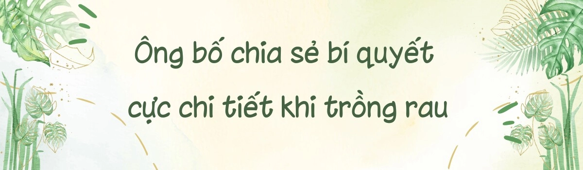 Ông bố hà nội trồng rau nuôi cá trên mái nhà chia sẻ bí quyết để có khu vườn trên mây vừa đẹp vừa xanh