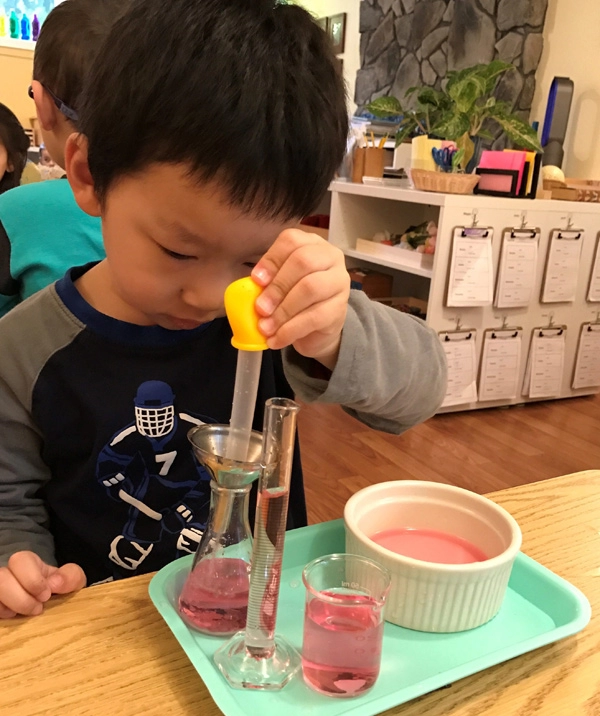 Phương pháp montessori dạy trẻ 2-6 tuổi biết làm mọi việc từ rất sớm