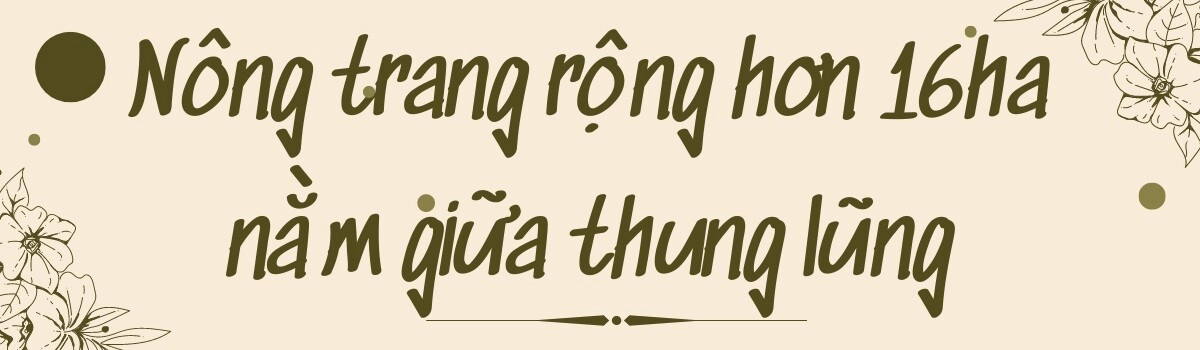 Theo chồng mỹ về vùng quê hẻo lánh mẹ việt khai hoang nông trang hơn 16ha rau củ ăn quanh năm không hết