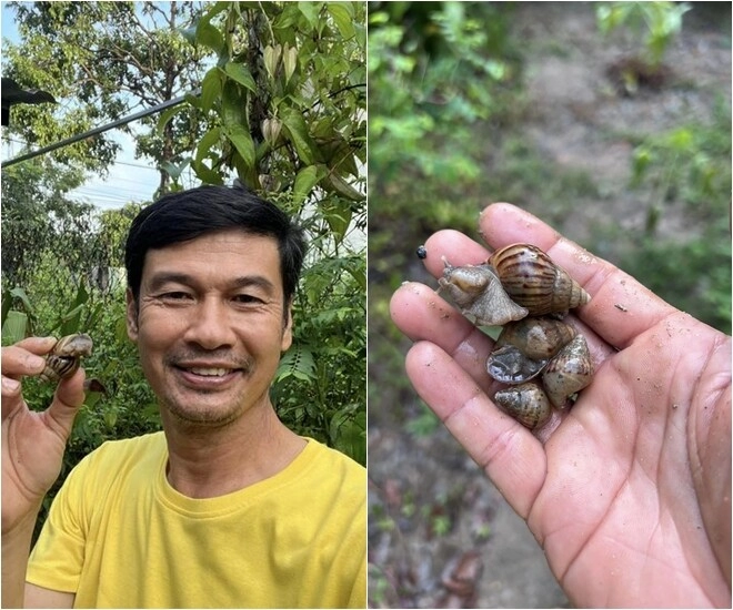 Tiết cương lấy vợ trẻ xong thích sống trong biệt phủ màu tím ở quê yêu từng cái cây trong khu vườn