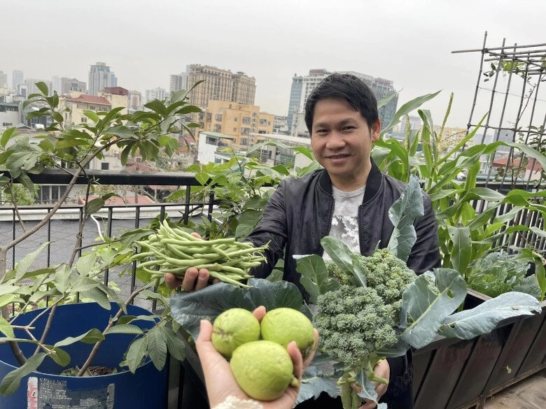 Trọng tấn ráo riết thu hoạch sớm bưởi trên sân thượng biệt thự ở hà nội để tránh bão yagi