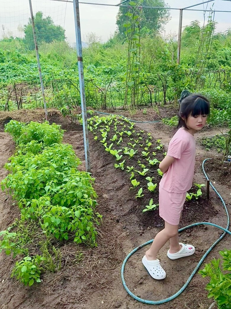 Vợ chồng đoàn di băng khoe khu vườn xanh mướt cho biết lâu rồi không có tốn tiền mua rau