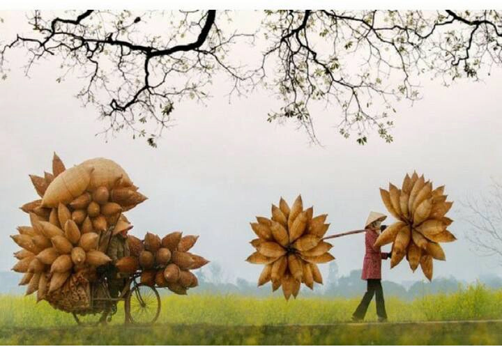 Thì ra đây chính là nguồn cảm hứng cho trang phục dân tộc của lệ hằng tại hh hoàn vũ