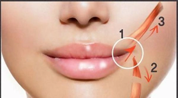 10 cách làm đẹp độc lạ chỉ có ở hàn quốc dùng nhau thai cắt bỏ xương sườn