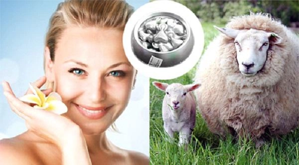 10 cách làm đẹp độc lạ chỉ có ở hàn quốc dùng nhau thai cắt bỏ xương sườn