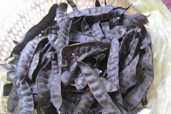 10 ngày mới tắm 1 lần thì ra mỹ nhân trung hoa xưa ở bẩn hơn chúng ta tưởng nhiều