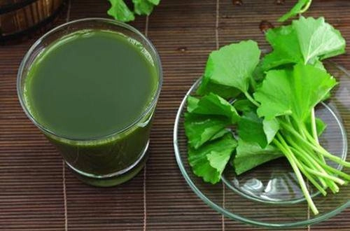 Chạy ra chợ mua nắm rau má về xay nhuyễn rồi đắp lên mặt sẹo lõm đến mấy cũng khỏi