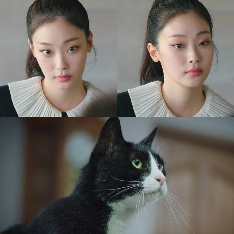 cô mèo có visual sang chảnh được so sánh với jennie lên phim đã đẹp đời thường còn ăn mặc tinh tế khó rời mắt