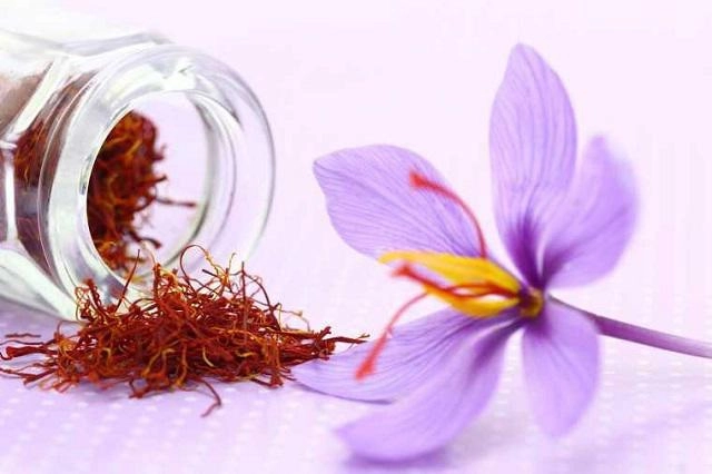 Đời không như mơ tưởng nhụy hoa nghệ tây là báu vật làm đẹp ai dè tiền mất tật mang