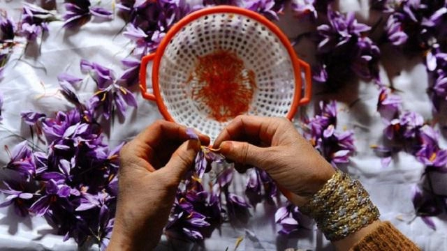 Đời không như mơ tưởng nhụy hoa nghệ tây là báu vật làm đẹp ai dè tiền mất tật mang