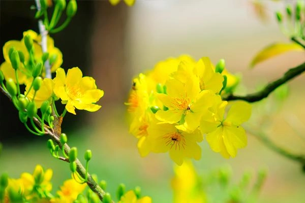 Hung bạo nhất lịch sử trung hoa đây là bí thuật làm đẹp rợn người của thái bình công chúa