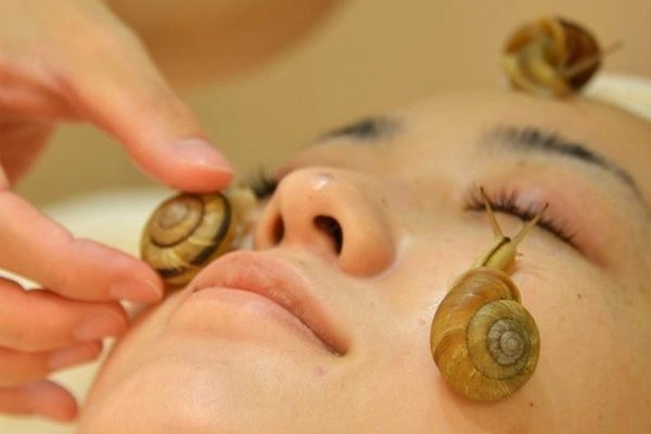 Làm đẹp bằng phân bò phân chim những kiểu làm đẹp chỉ nghe qua là thấy sợ