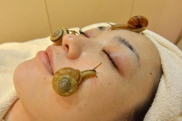 Làm đẹp bằng phân bò phân chim những kiểu làm đẹp chỉ nghe qua là thấy sợ