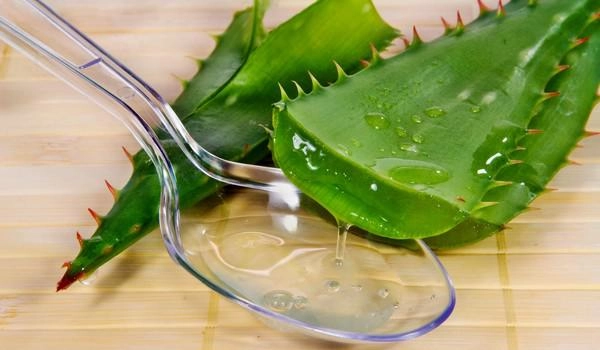Làm đẹp da không khó với các nguyên liệu tự nhiên dễ kiếm ngay tại nhà