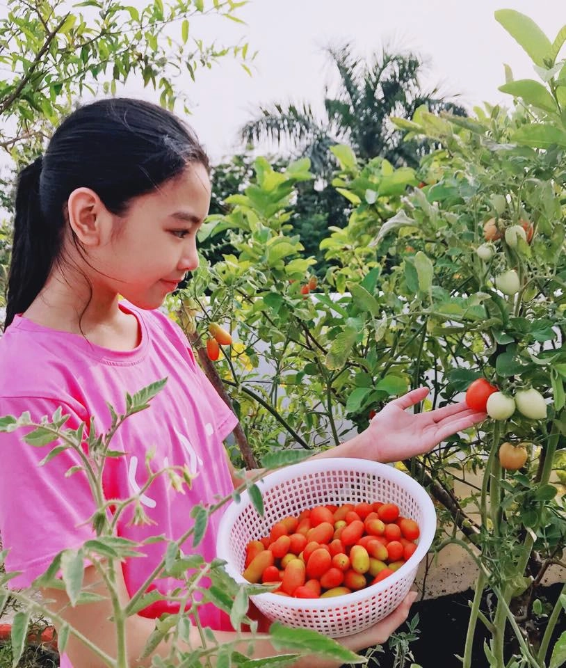 Mới 13 tuổi con gái mc quyền linh được dự đoán sẽ trở thành hoa hậu vì quá xinh đẹp