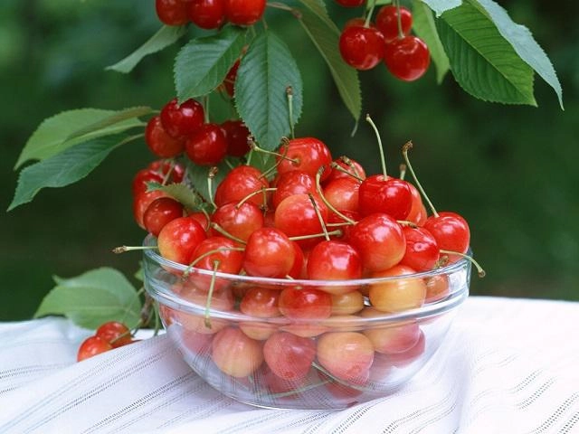 Muốn eo thon dáng chuẩn chị em chỉ cần siêng ăn loại quả rụng đầy ở góc vườn này