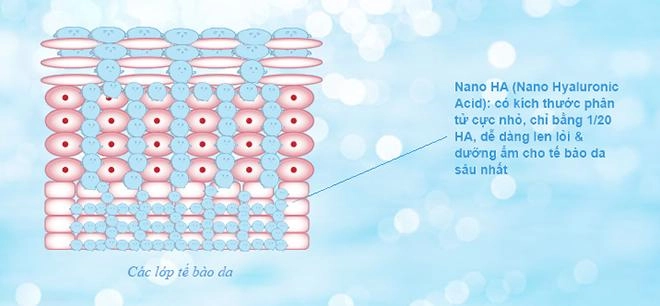 Nhiều chị em gián tiếp hủy hoại da vì không phân biệt được cấp ẩm với dưỡng ẩm