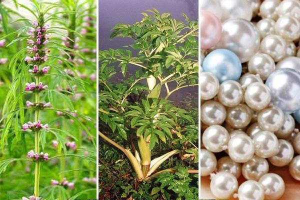 Nổi tiếng dâm loàn võ tắc thiên đã níu kéo thanh xuân bằng thứ bột thần tiên này
