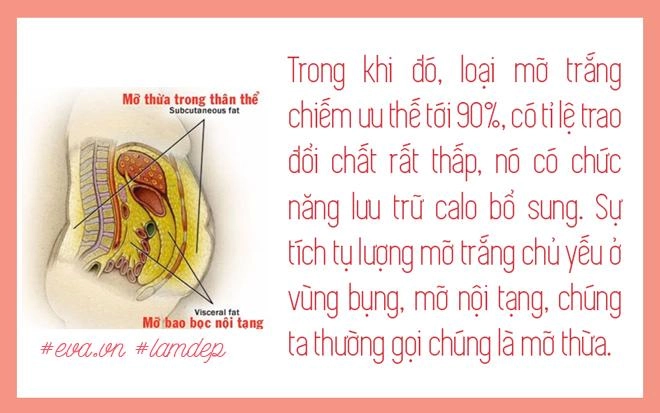 Nọng cằm mỡ bắp tay mỡ bụng tan biến sau vài phút nhờ tiêm tan mỡ thực hư ra sao