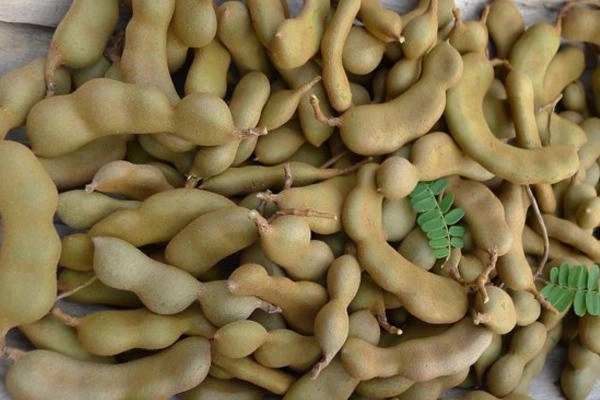 Trắng đến mức nhìn như bạch tạng đây là mốt mới của gái thái ngày nay