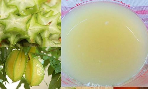 Trị tóc bạc sớm nhờ công thức nhuộm đen bằng khế chua và khoai tây rẻ như cho