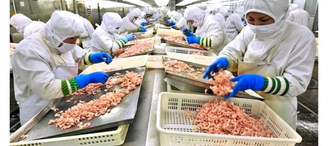 10 món có thể gây nguy hiểm nếu bạn ăn không đúng cách
