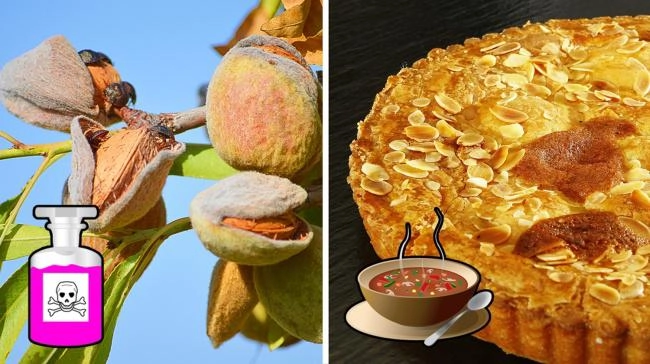 10 món có thể gây nguy hiểm nếu bạn ăn không đúng cách