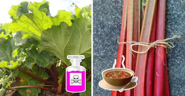 10 món có thể gây nguy hiểm nếu bạn ăn không đúng cách
