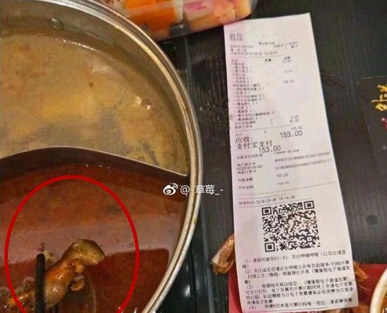 Bà bầu phát hiện chuột trong nồi lẩu chủ quán hồn nhiên hứa bồi thường tiền phá thai