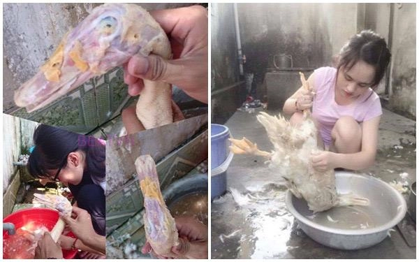 Bố chồng ghét da gà nàng dâu liền chiều hết lòng dân tình khen khéo sau đến chỉ ngồi chơi