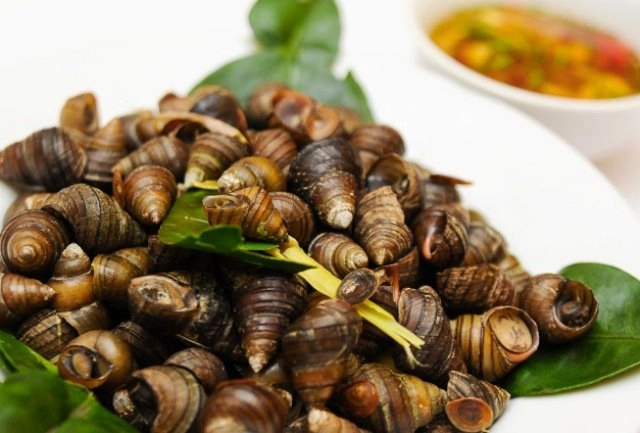 Cách chọn làm sạch và luộc ốc giòn ngon đến ai cũng phải hỏi bí quyết