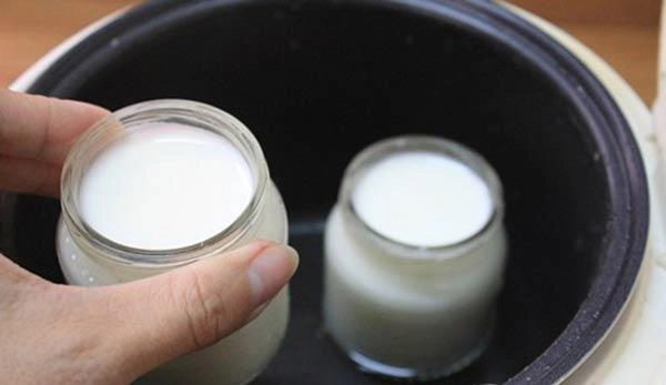 Cách làm sữa chua bằng sữa ông thọ ngon cực đơn giản tại nhà